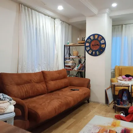 Tefo'nun Kiralik Evi איסטמבול